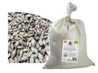 ORKISZ Ozimy Schwabenkorn Materiał Siewny EKO 500 KG