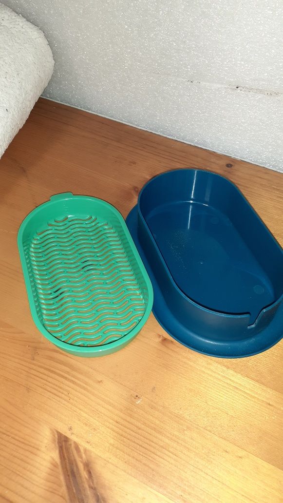 Germinador hidropónico erva para gatos