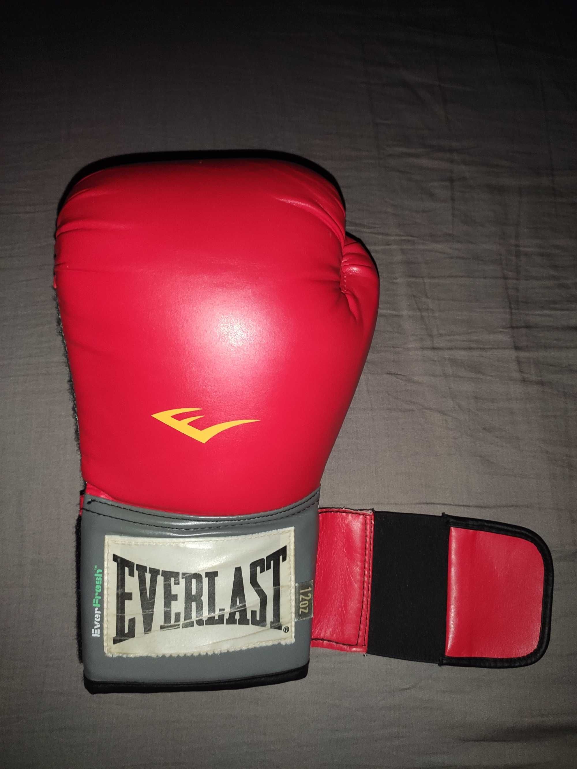 Luvas Vermelhas Boxe 12 Oz Everlast