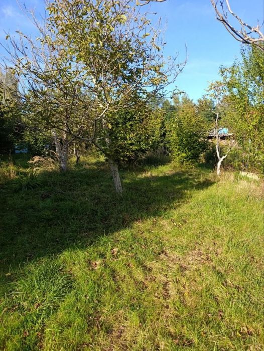 Продаж земельної ділянки с. Ковʼярі