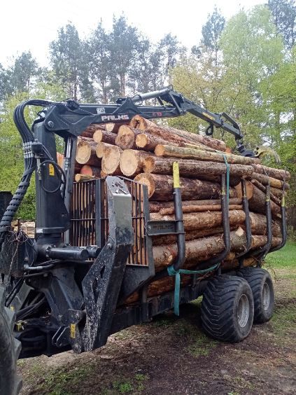 drewno opałowe kominkowe