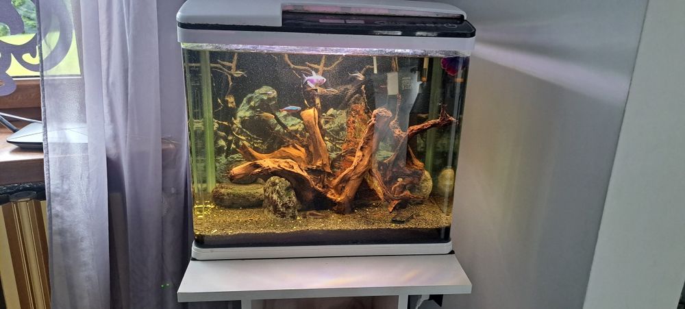 Akwarium 70l komplet