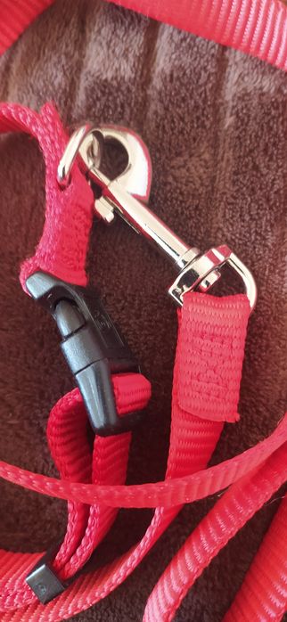 Ошейник для собаки