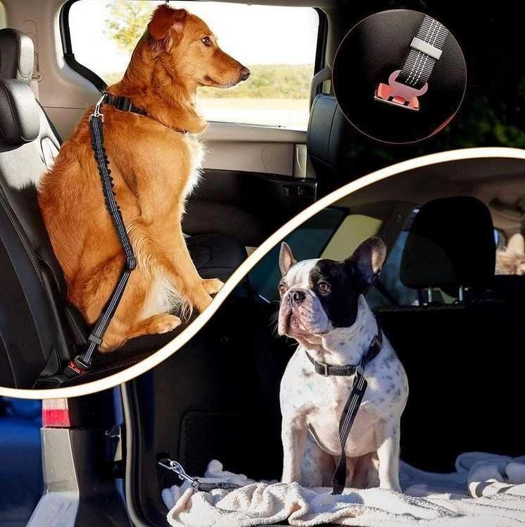 Pasy bezpieczeństwa dla Psa do samochodu smycz * Video-Play