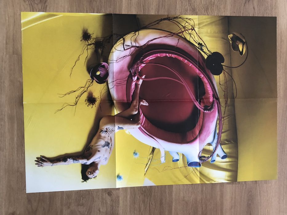Disco de vinil (2LP) Fine Line - Harry Styles