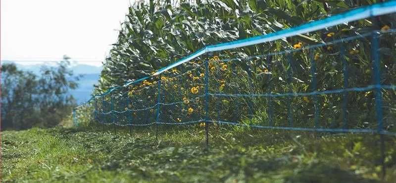 Siatka do ochrony przed dzikami, lisami i sarnami 50 m x 90 cm