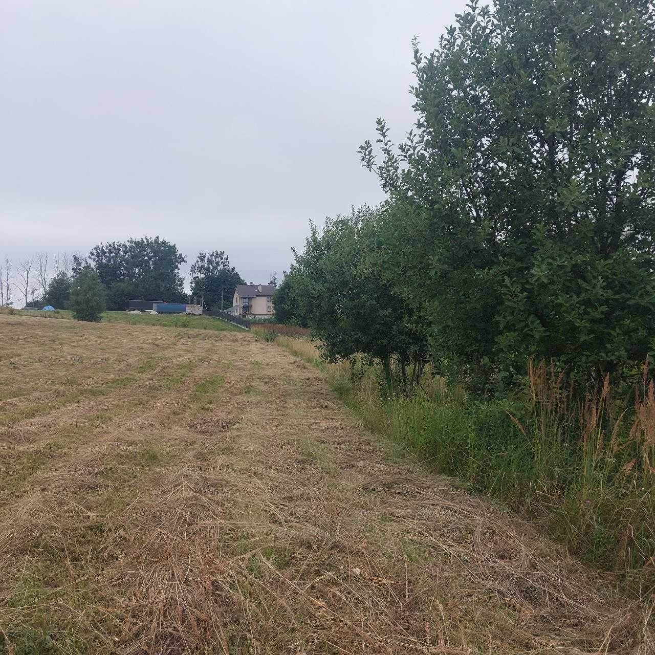 Продаж земельної ділянки, перша лінія, 175 сот, Деревач