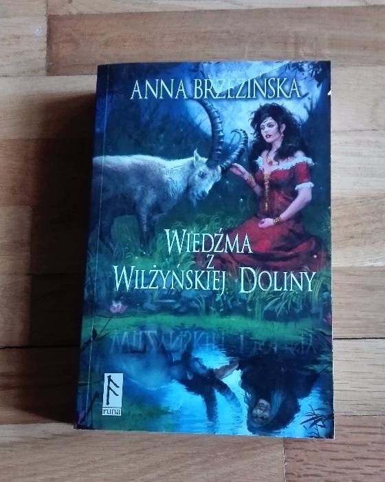 Wiedźma z Wilżyńskiej Doliny Anna Brzezińska