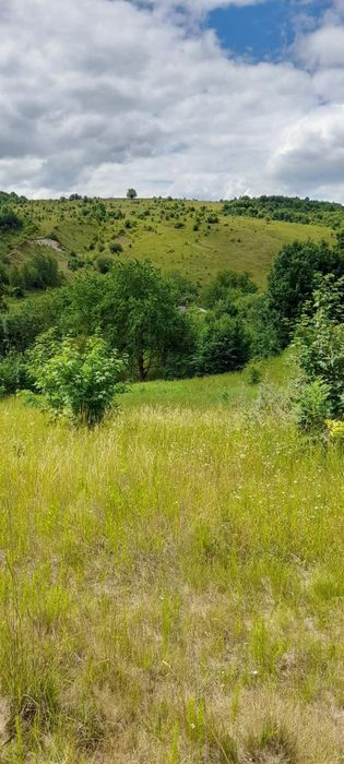 Ділянка 25 соток під будівництво+цегляний будинок