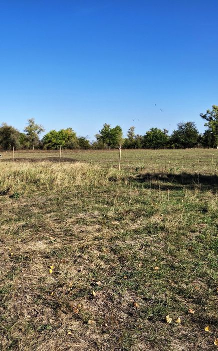 Продам ділянку 15с. в Обухівці