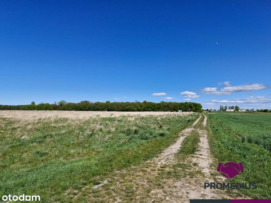 Działki budowlane Koszalin Jamno