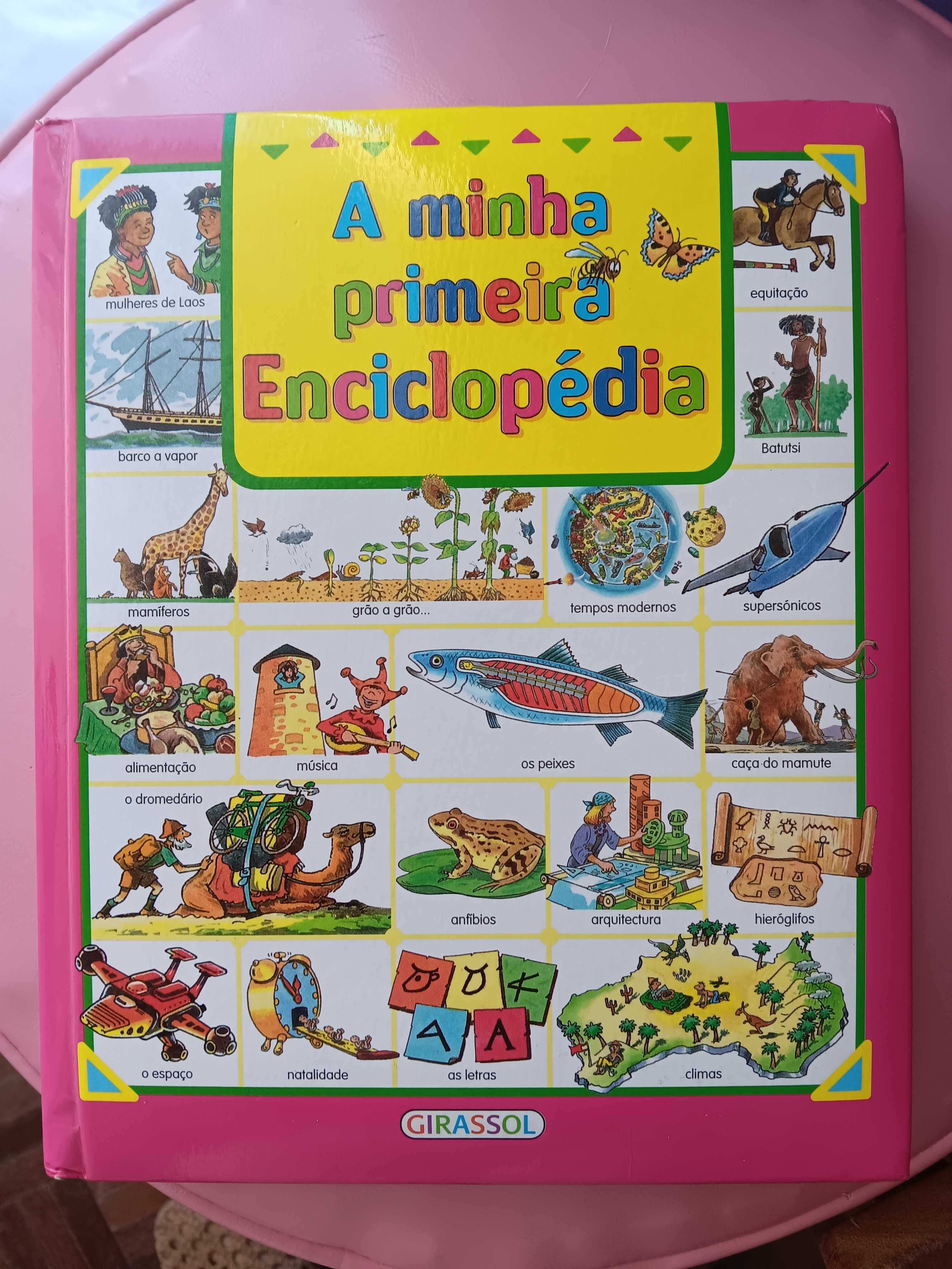 Livro A Minha Primeira Enciclopédia- Edições Girassol