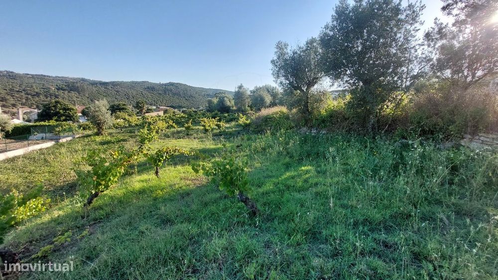Terreno  para venda