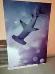 Obraz plexi 125x185 rekin
