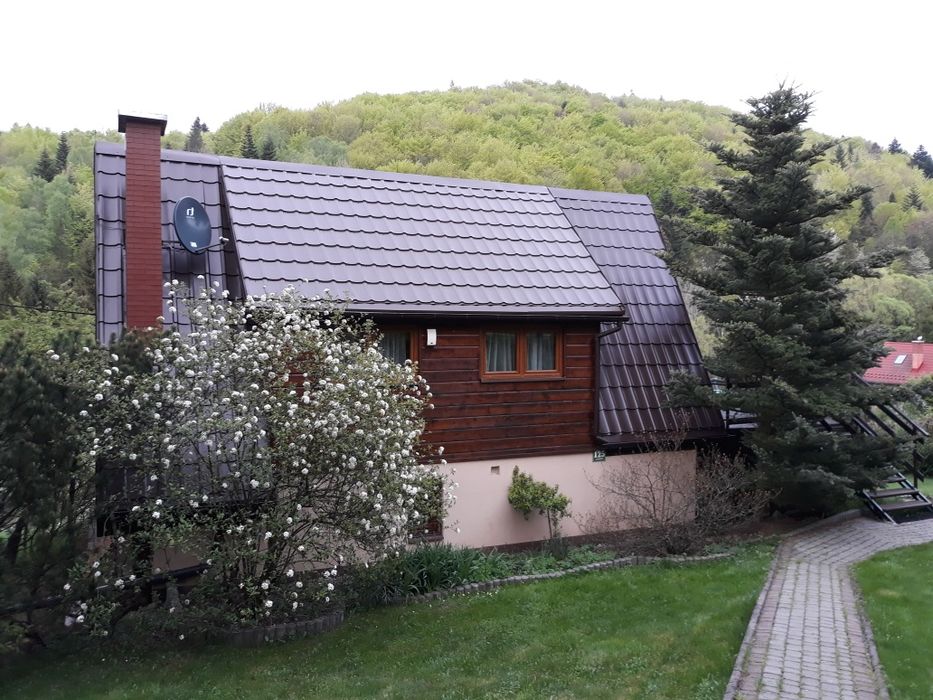 Malowanie dachów, Malowanie elewacji, Darmowa wycena