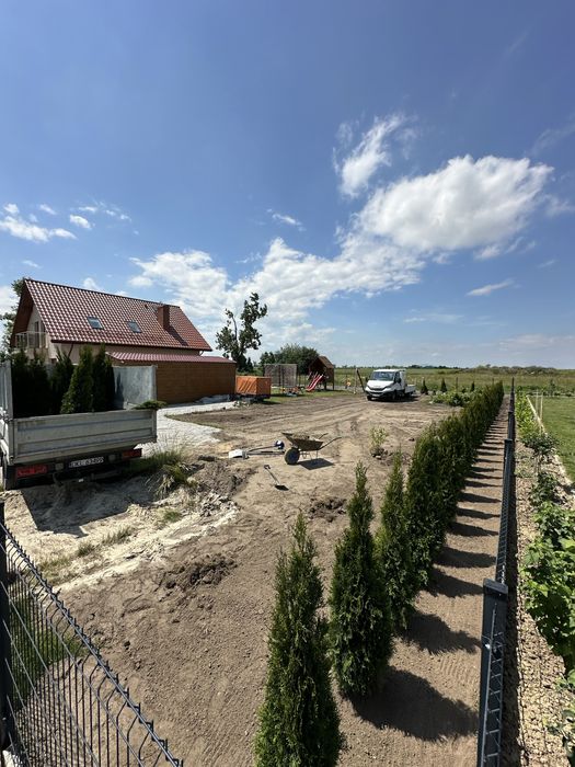 Tuja szmaragd sadzenie ogrodzenie żywopłot transport