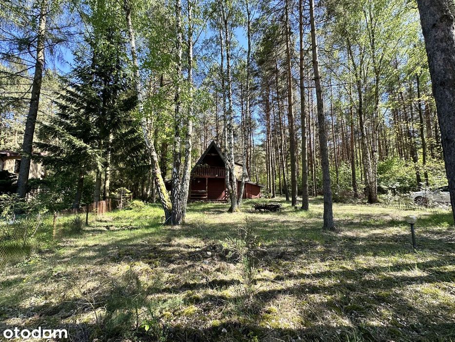 Działka budowlana pod lasem Adamów Wieś - 35 min od centrum Warszawy