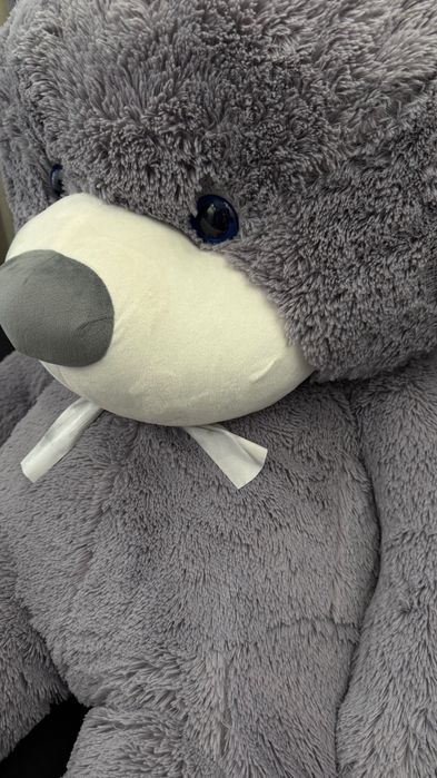 Медвідь великий , в ідеальному стані 170