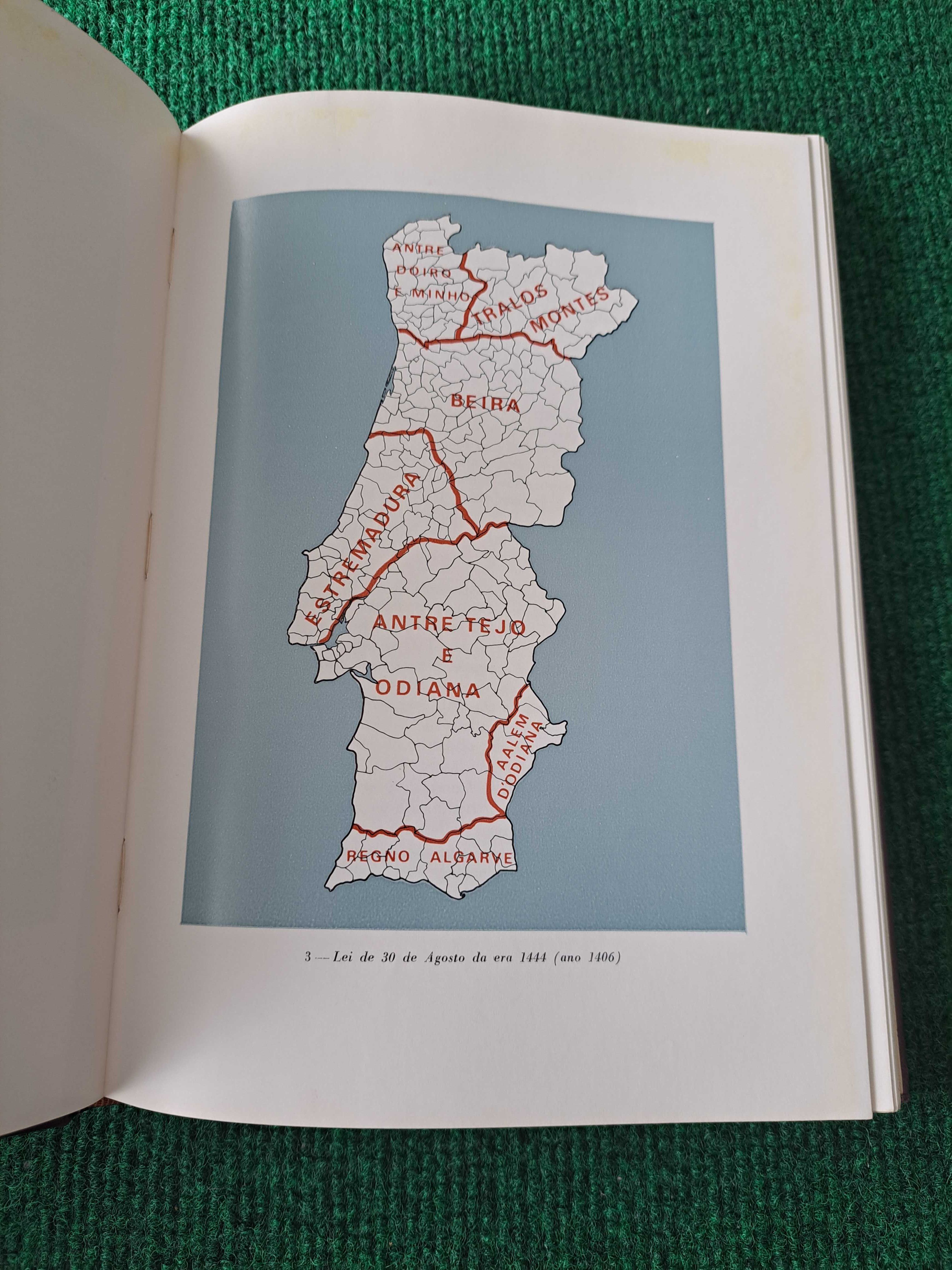 Regiões Homogéneas no Continente Português - C. Caldas / S. Loureiro