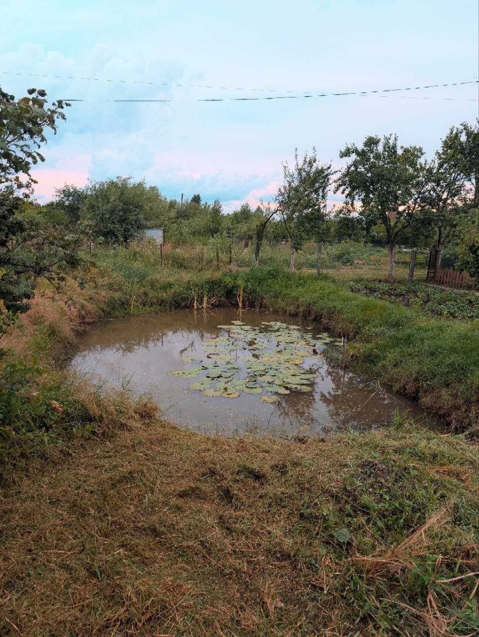 Продаж дачі з великою ділянкою