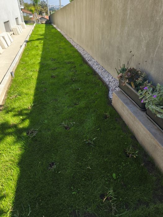 Serviços jardinagem