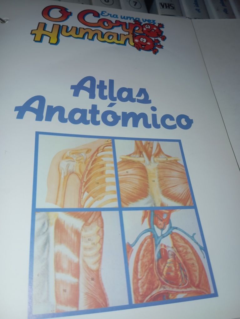Coleção "Era uma vez o Corpo Humano"Planeta Agostini