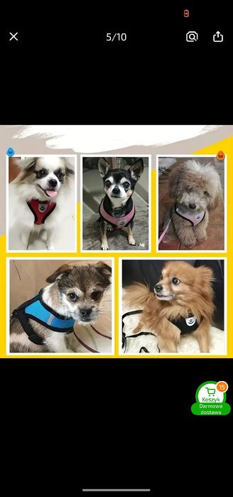 Szelki dla małego pieska rozmiar S