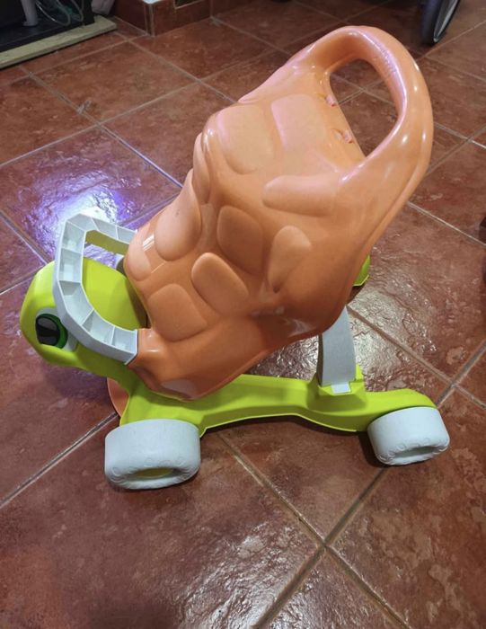 Walk & Ride Turtle Chicco