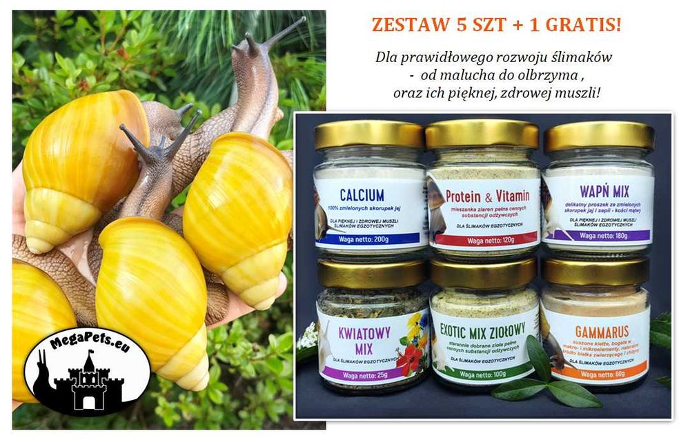 Podłoże kokosowe Torf Premium dla ślimaków Achatina Lissachatina