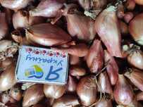Продам цибулю кущевку