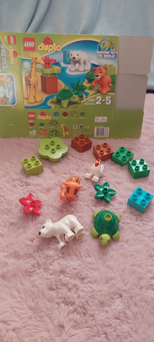 Klocki LEGO 10801 Duplo Zwierzątka tygrys żółw niedźwiedź polarny kura