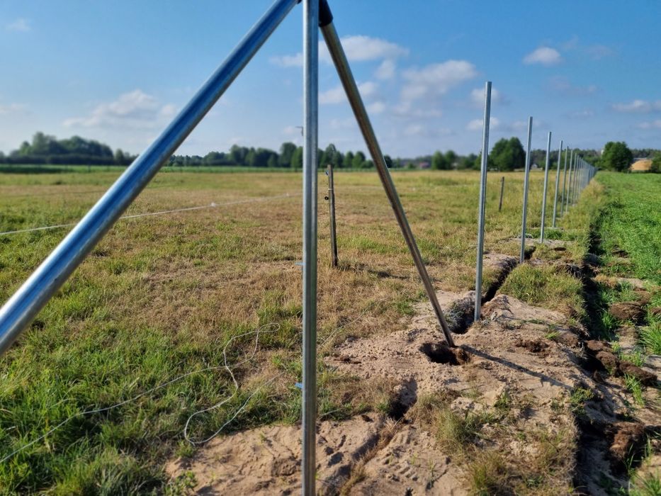 Siatka ogrodzeniowa Ocynk Ostróda