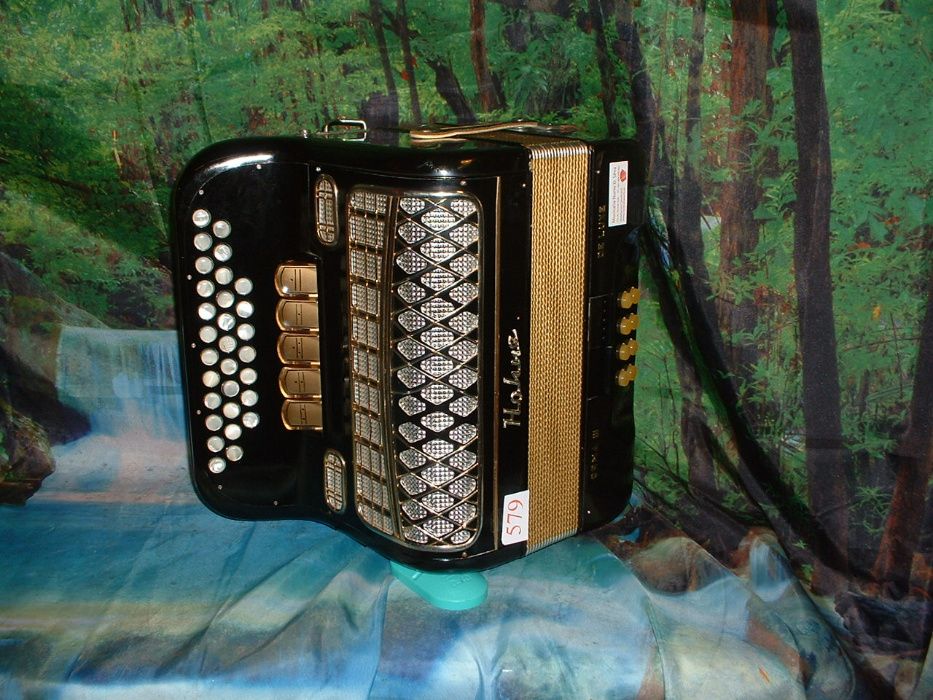 Concertina Para Venda n.579