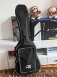 акустична гітара HOHNER