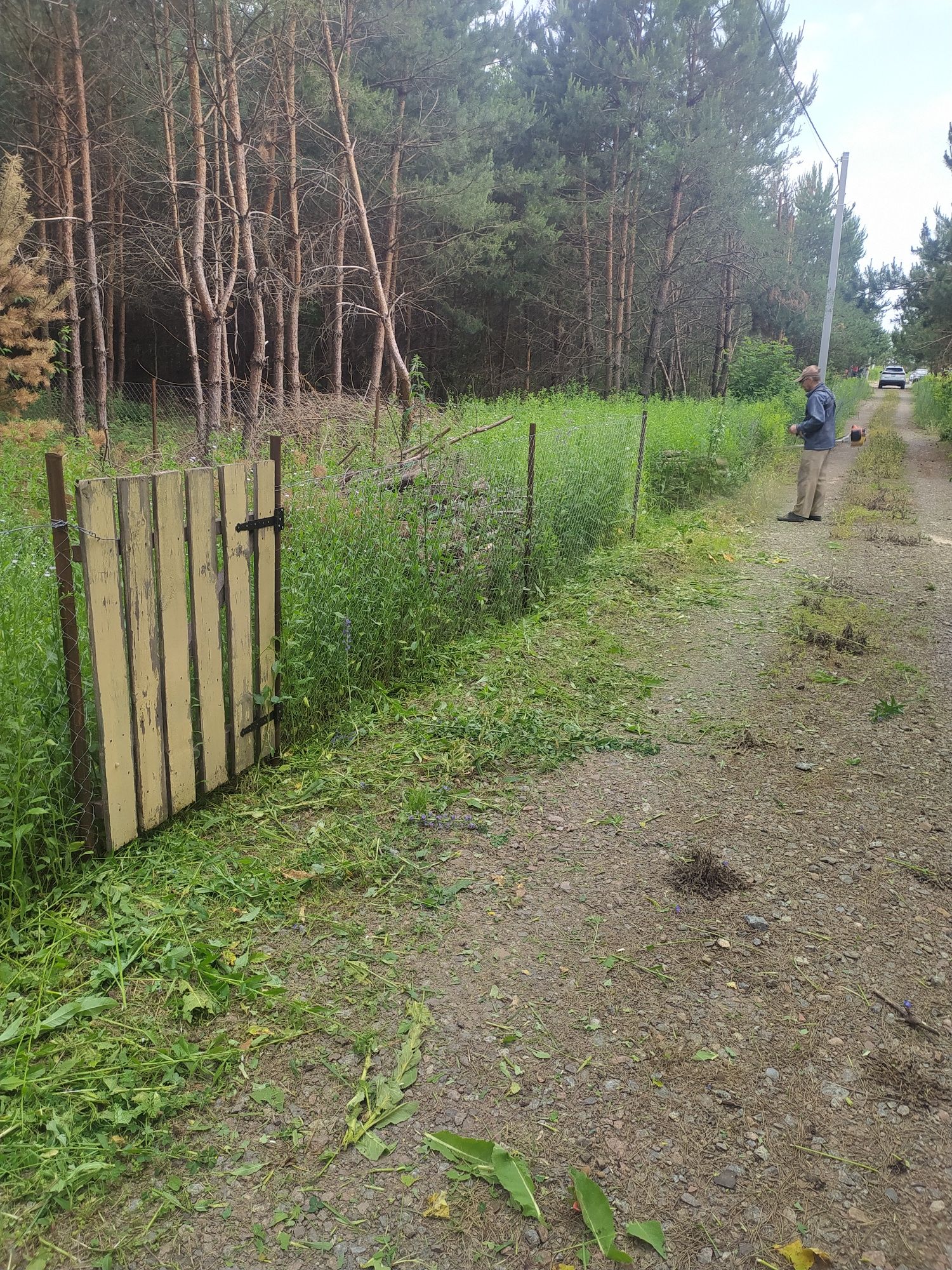 Покос травы быстро не дорого качественно и ответственно.