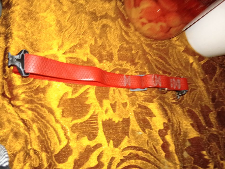 Нашийник вау дог