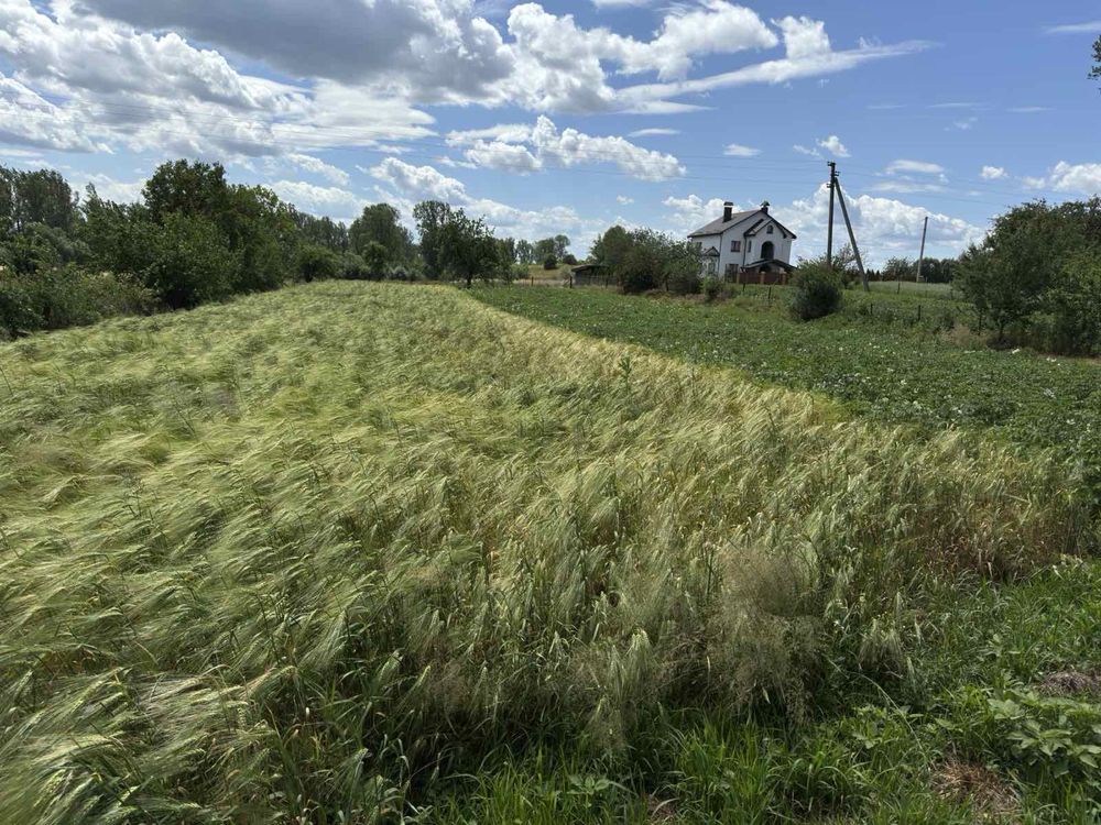 Продається будинок в селі