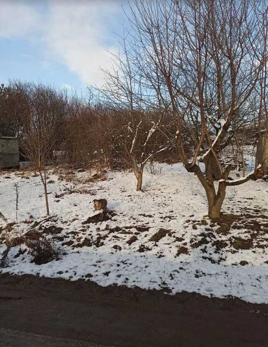 Продаю  будинок в супе класній локаціі!