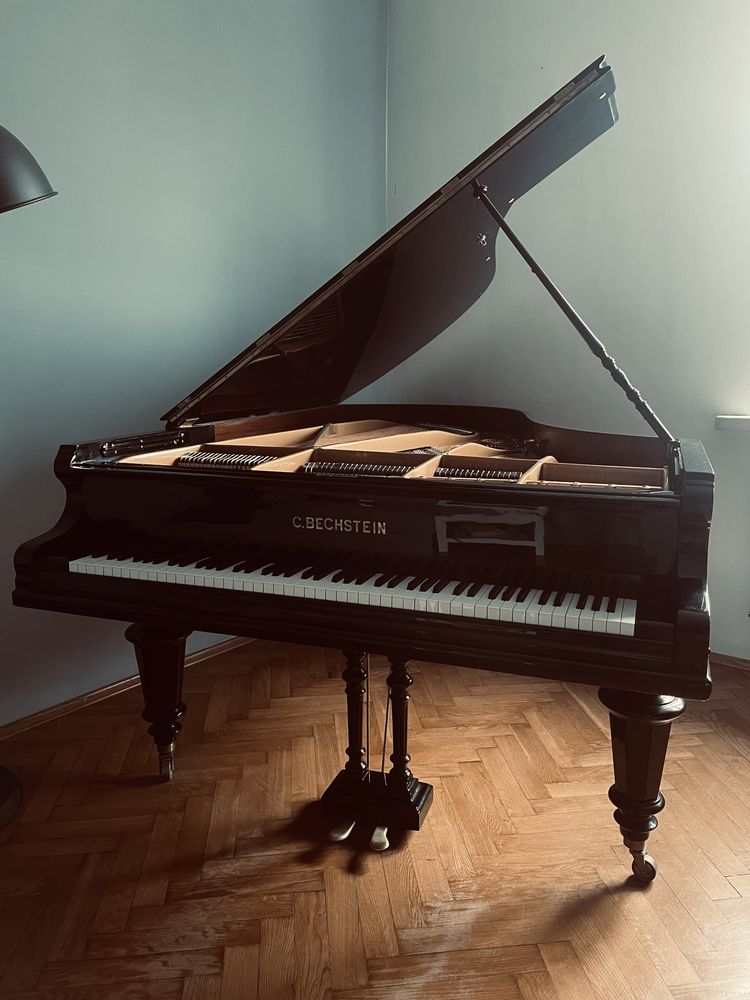 Fortepian C.BECHSTEIN Model B