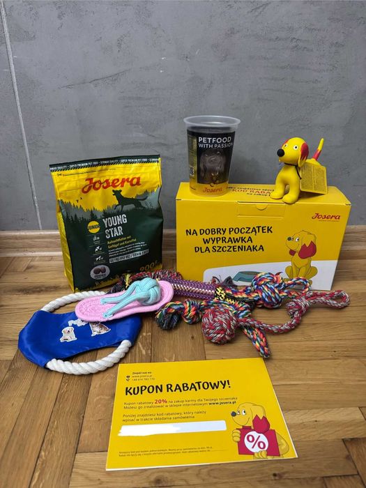 Owczarek Australijski - Sunia niebieskooka – Blue Merle- rezerwacja.