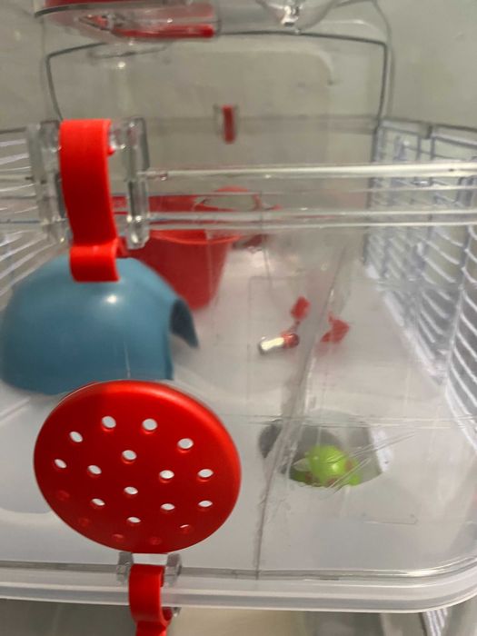 Gaiola Hamster Russo com acessórios