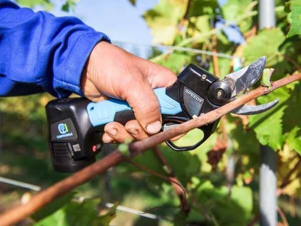 Tesoura Elétrica Campagnola SPEEDY 25mm - NOVA