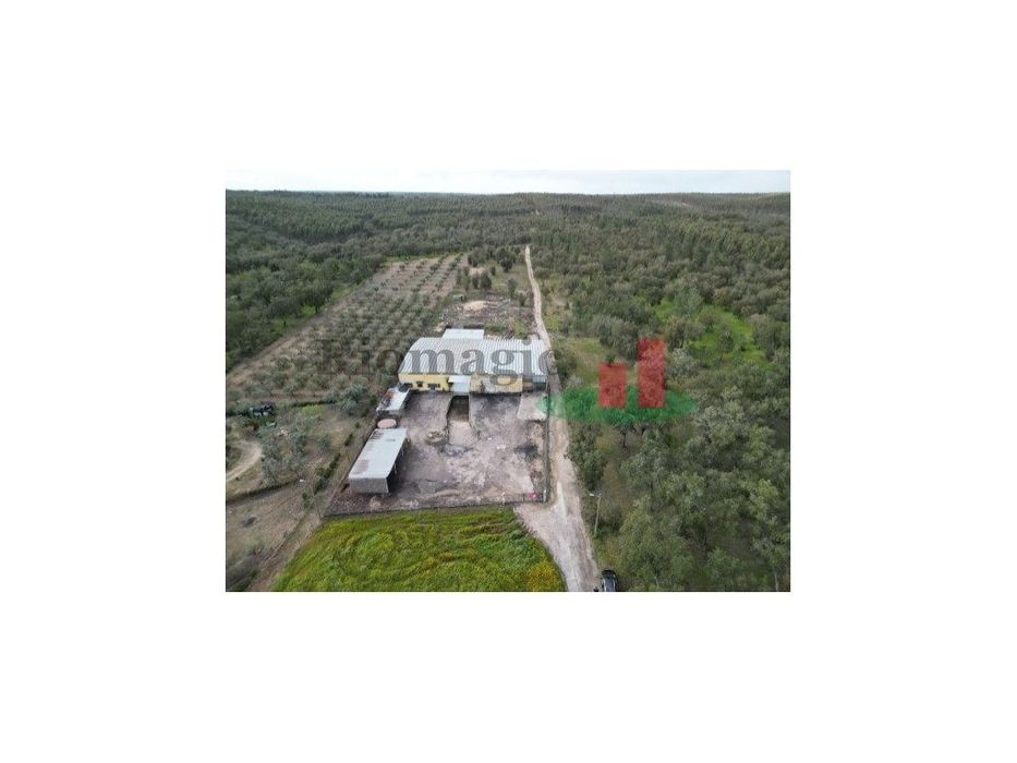 Pavilhão Industrial Chamusca***RIOMAGIC***