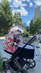 gondola cybex priam spring blossom light 2.0/3.0.4.0