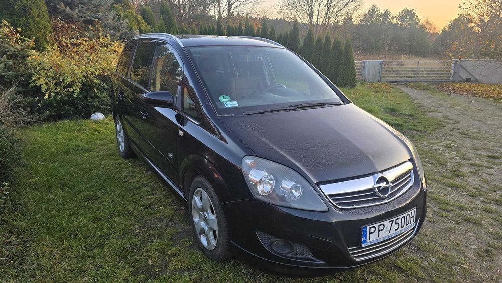OPEL ZAFIRA, 2008, zadbany, garażowany