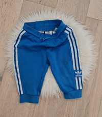 Adidas 74cm spodnie dresowe