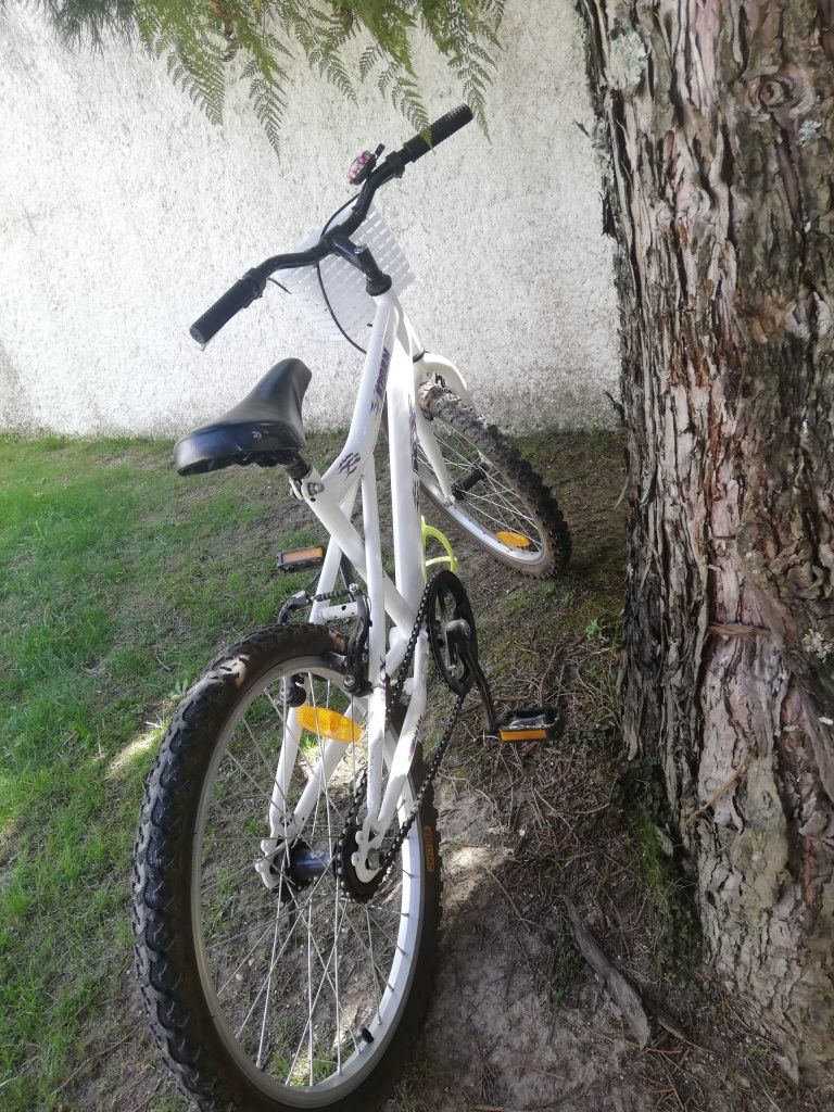 Bicicleta simples