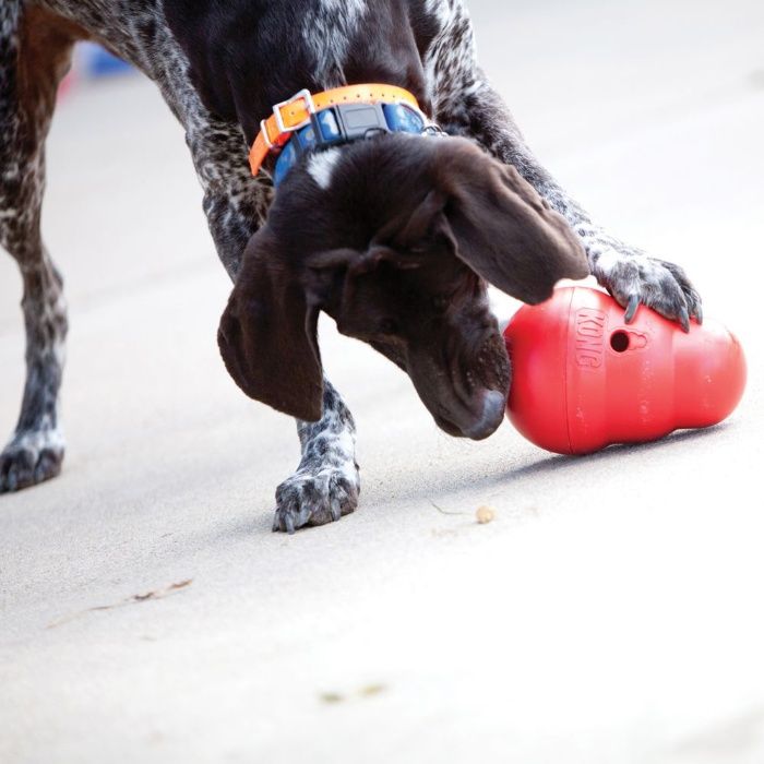 NOVO - Kong Wobbler - Dispensador de comida