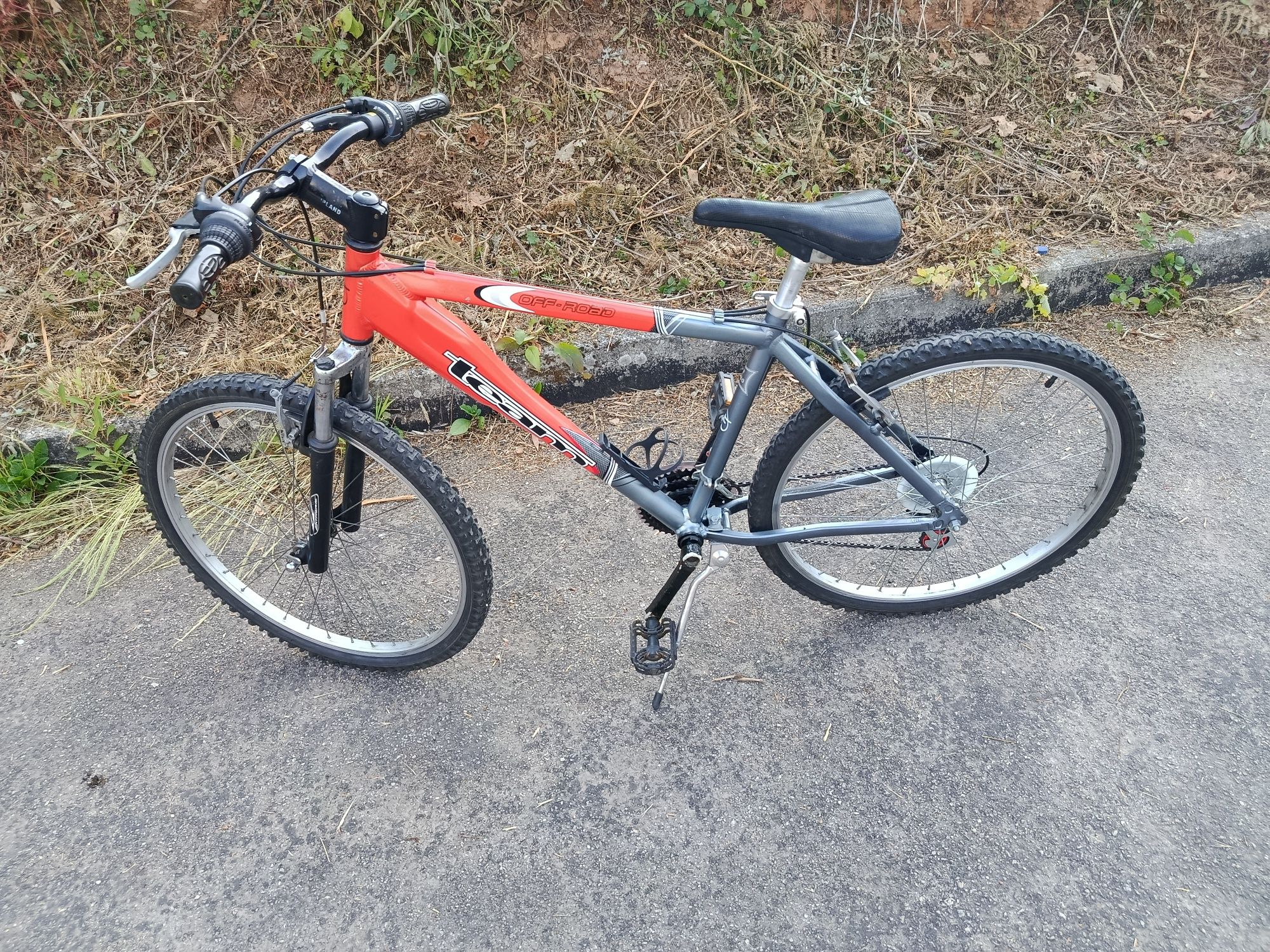 Bicicleta de montanha