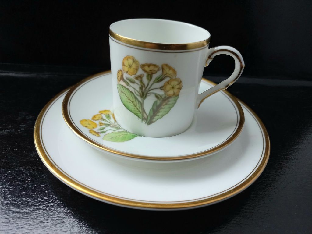 Filiżanka trio Royal Worcester